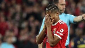 Schmidt compreendido no Brasil: «Neres acha sempre que precisa de mais minutos»
