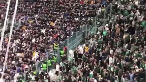 Adeptos do Sporting deram show nas bancadas do Allianz Stadium