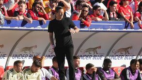 Roger Schmidt: «Acho que é penálti. Não sei por que razão o VAR não interveio»