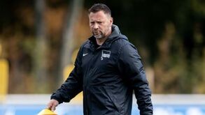 Hertha Berlim demite treinador e faz regressar Pál Dárdai