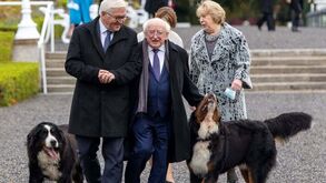 Isto lembra uma história: os cães do presidente da Irlanda