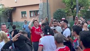 Filho de Roger Schmidt no meio da loucura benfiquista em Milão