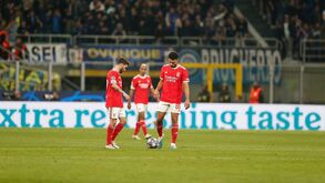 Resultados, destaques individuais e dinheiro amealhado: o percurso do Benfica na Champions 