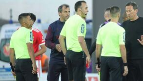 Críticas à arbitragem? «Schmidt tem de passar a sua visão sobre o que a equipa tem feito»