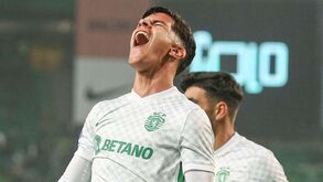 Mateus Fernandes: «Sabemos que o AZ Alkmaar é muito forte no contra-ataque»