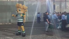 Jubas 'lidera' adeptos do Sporting para a receção à equipa no Estádio de Alvalade