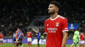 Gonçalo Ramos nunca esteve tantos jogos sem marcar esta época: «Precisa de ser bem servido»