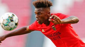 Transferência de Nuno Tavares: Vieira revela dívida do Benfica a César Boaventura