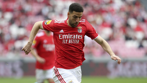 Taarabt sem meias palavras: «Rui Vitória não era bom treinador nem boa pessoa»