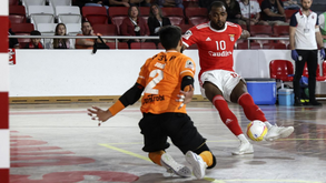 Ferreira do Zêzere-Benfica, 2-4: Águia volta a sorrir