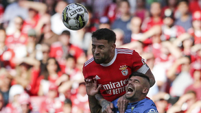 Benfica a quatro vitórias do título de campeão