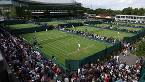 Torneio de Wimbledon vai doar receitas à Ucrânia e financiará alojamento de tenistas
