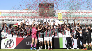 Revolução tricolor
