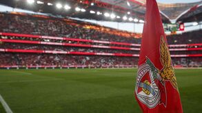 Camilo Lourenço e o novo empréstimo obrigacionista: «Se calhar o Benfica está apenas a tentar evitar algumas vendas»
