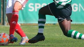 Equipas B de Benfica e Sporting em queda livre: as razões para o insucesso desta temporada