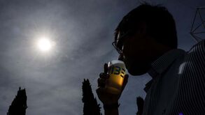 Temperatura máxima do ar bate novos recordes em estações do IPMA
