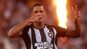 Botafogo avança na Taça do Brasil: Luís Castro não perde há 11 jogos