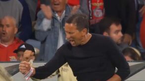 Como nunca se tinha visto: o festejo efusivo de Schmidt no segundo golo do Benfica