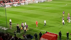 Roger Schmidt exulta com vitória após apito final e os jogadores do Benfica agradecem apoio aos adeptos