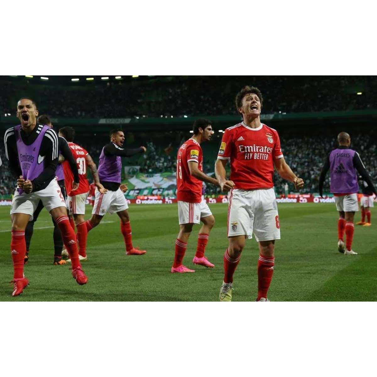 Agarra-me se puderes: antevisão ao Benfica-FC Porto, com os onzes prováveis  - Liga Betclic - Jornal Record