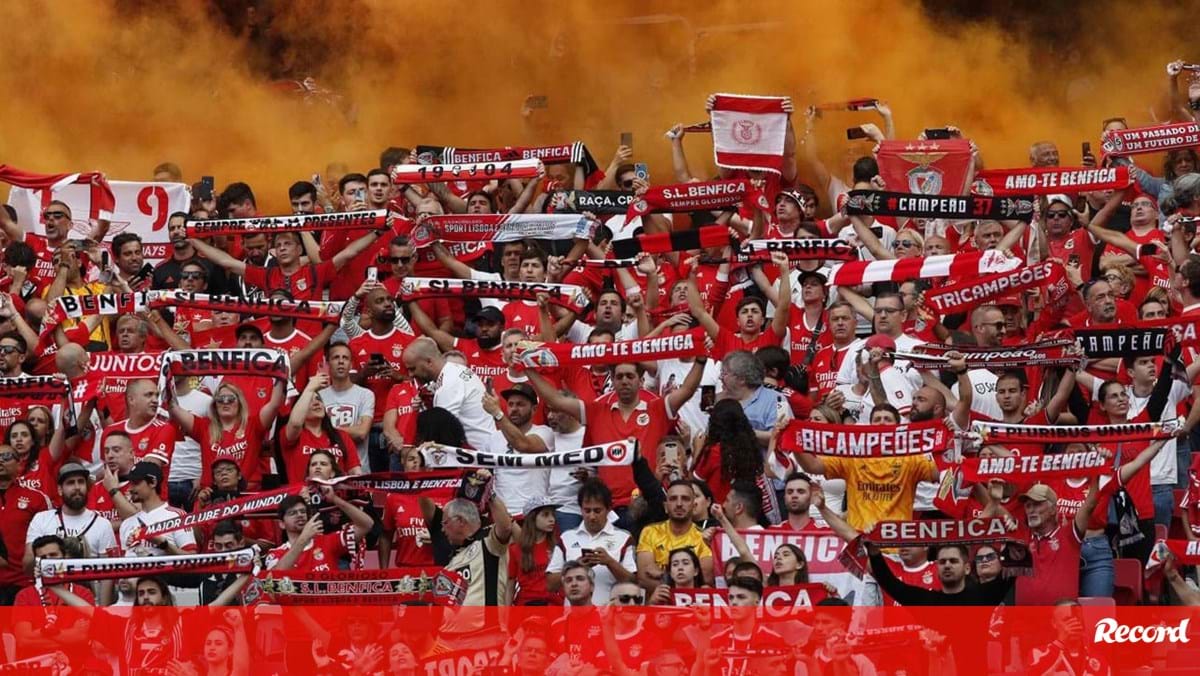 Benfica Eintracht Frankfurt Antevisão Champions - SL Benfica