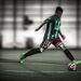 Paulinho