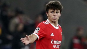 João Neves em estreia nos Sub-21: Médio do Benfica vai jogar... pela 7.ª equipa diferente esta época