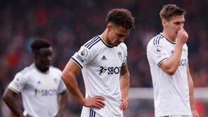 «Sou responsável por esta merda»: presidente do Leeds responde a adepto... a meio de jogo