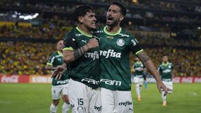 Palmeiras de Abel Ferreira bate Barcelona do Equador e partilha liderança do grupo na Libertadores