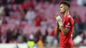 Weigl deixa Benfica e assina pelo Borussia Mönchengladbach: conheça os valores do negócio