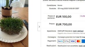 Memórias do título: adeptos do Nápoles vendem bocados de relva no eBay... a 700 euros