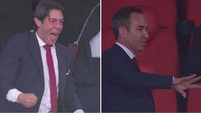 Da euforia de Rui Costa à mão de António Salvador