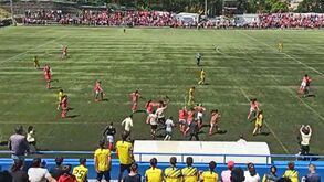 Apito final em Valadares solta euforia do Benfica: a festa das tricampeãs nacionais