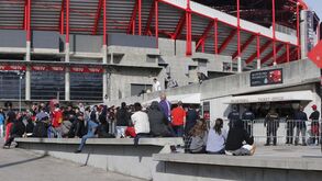 Loucura para Portimão: benfiquistas esgotam bilhetes em 40 minutos