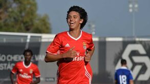 Do burnout de jovens na formação às dúvidas de João Félix, contadas pelo coordenador do Benfica