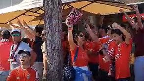 Adeptos 'afinam' vozes antes do jogo com o Portimonense e cantam hino do Benfica junto ao estádio