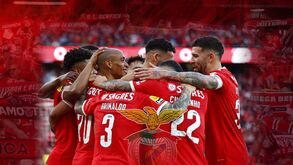 Benfica campeão: o guia do título