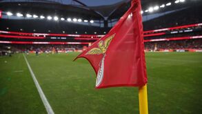 Benfica confirma buscas da Autoridade Tributária