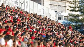 Adeptos do Benfica eufóricos em Portimão: o retrato da festa
