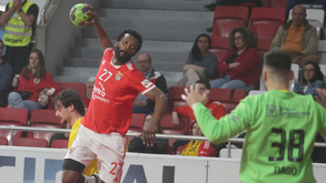 Bingo deixa Benfica para rumar à Macedónia do Norte