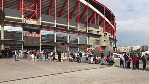 Loucura na corrida aos bilhetes no Estádio da Luz para o jogo com o Santa Clara