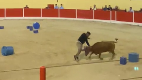 Eliseu tentou encarar um novilho na Feira de Maio na Azambuja e acabou... no chão