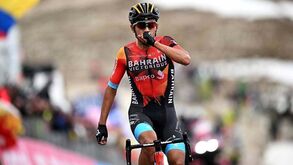 Buitrago vence etapa rainha do Giro: João Almeida perde tempo mas segura 3.º lugar da geral