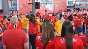 Adeptos afinam gargantas: centenas cantam hino do Benfica no exterior do Estádio da Luz
