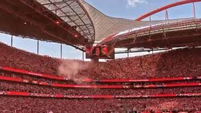 Loucura na Luz: ambiente de grande festa nas bancadas