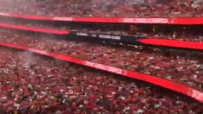 A reação nas bancadas da Luz ao golo de Gonçalo Ramos