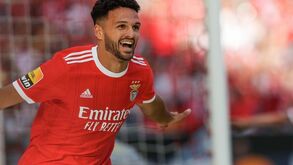 Gonçalo Ramos e o título do Benfica: «É um sonho tornado realidade»