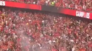 «E o Benfica ganhou»: a festa nas bancadas do Estádio da Luz após conquista do 38.º campeonato