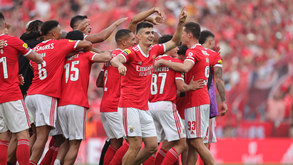 António Silva 'louco' com o título do Benfica: «Sou jogador-adepto»