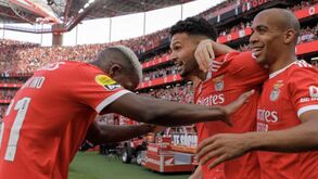 Todas as equipas já apuradas para a Liga dos Campeões e como estão os potes neste momento